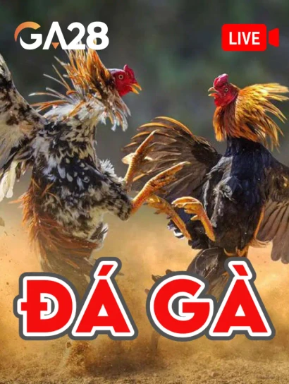 DE88 Đá Gà Livestream